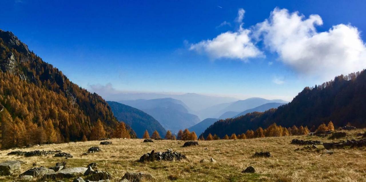 Taxus Hostel Pieve Tesino 외부 사진