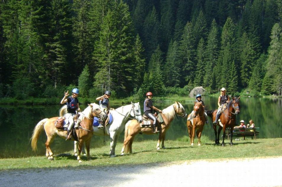 Taxus Hostel Pieve Tesino 외부 사진
