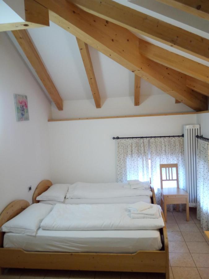 Taxus Hostel Pieve Tesino 외부 사진